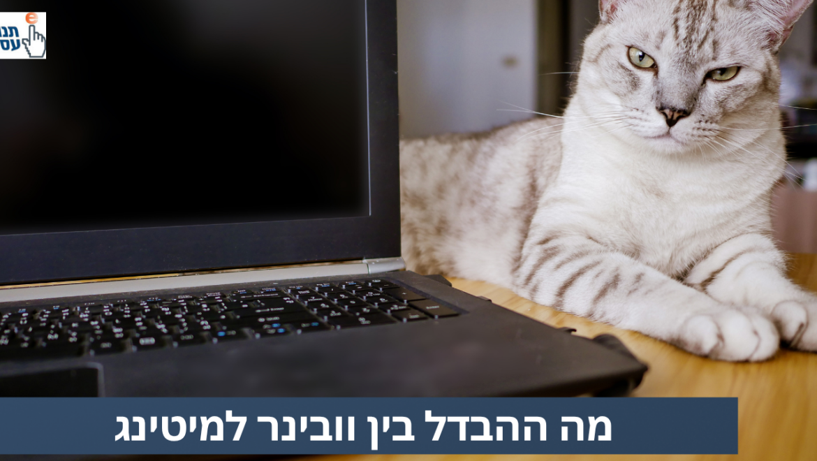 מה ההבדל בין וובינר למיטינג?
