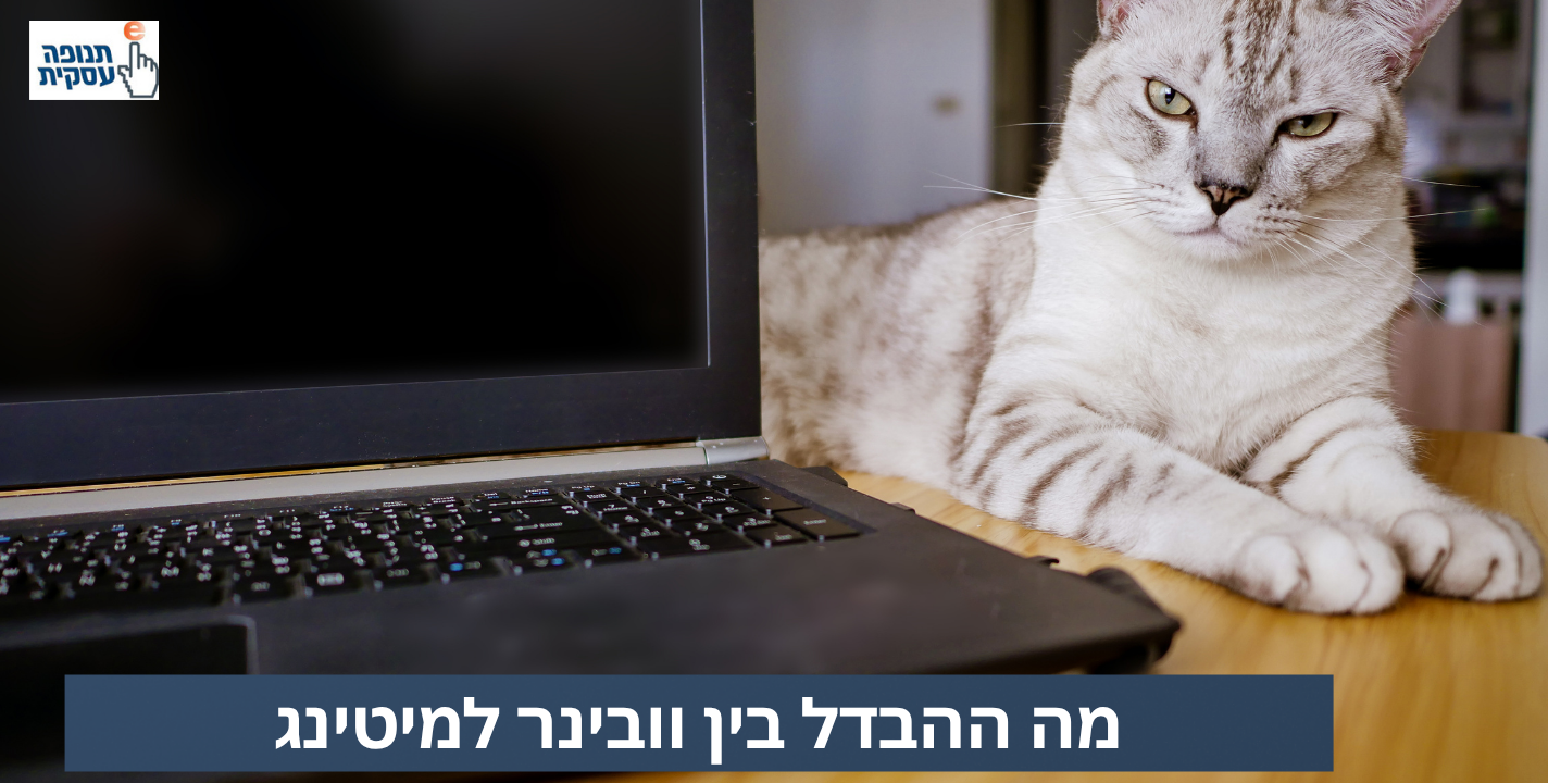 מה ההבדל בין וובינר למיטינג?